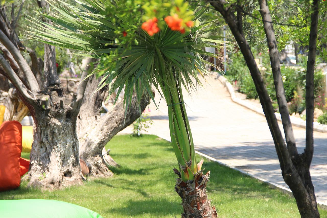 Kayalar Blue Beach Hotel Sazlı 외부 사진
