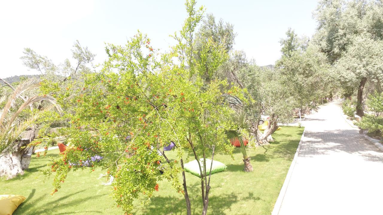 Kayalar Blue Beach Hotel Sazlı 외부 사진