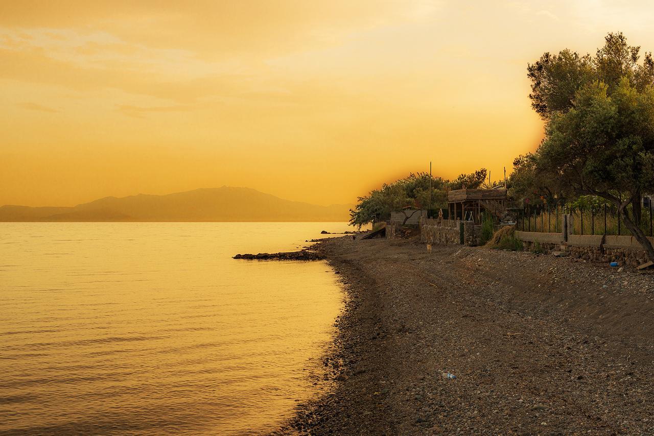Kayalar Blue Beach Hotel Sazlı 외부 사진