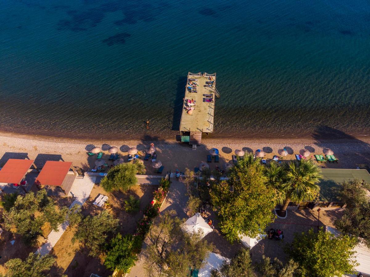 Kayalar Blue Beach Hotel Sazlı 외부 사진